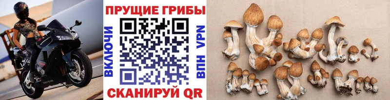 Галлюциногенные грибы Magic Shrooms ОМГ ОМГ маркетплейс Иноземцево закладка